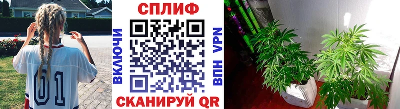 Каннабис марихуана  hydra вход  Сланцы 